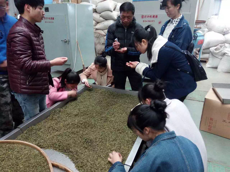 我院全力做好2016年度學生教學實習工作