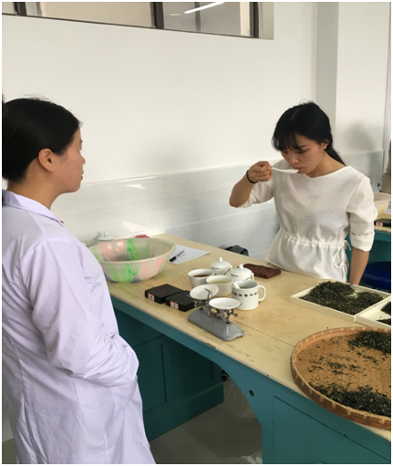 2017年度江西婺源茶業職業學院第二期涉茶類國家中高級職業資格考試順利舉行