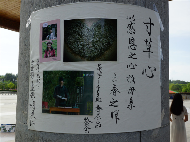 “寸草心”手工春茶品鑒會