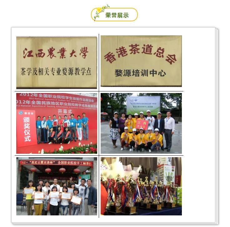 榮譽(yù)展示.jpg