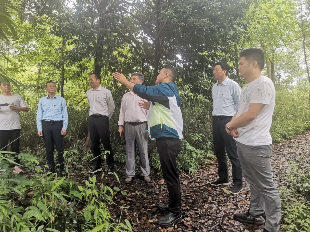江西婺源茶業(yè)職業(yè)學院組織開展“學黨史、悟思想、重走紅軍路”系列活動